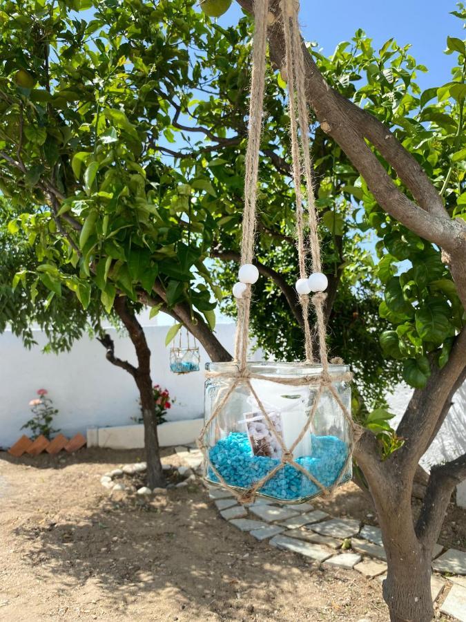 Blue Pearl Apartment Γλινάδο Νάξου Εξωτερικό φωτογραφία